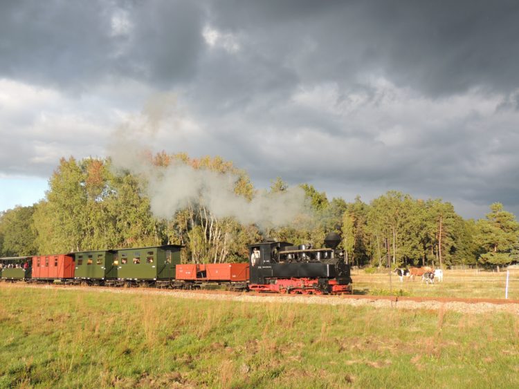 Waldeisenbahn Muskau 