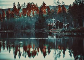 Dänemarks Ferienhäuser: Ein Paradies für Familien und Vierbeiner