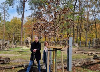 IHK BIZ feiert 30-jähriges Bestehen & pflanzt Baum im Tierpark Cottbus