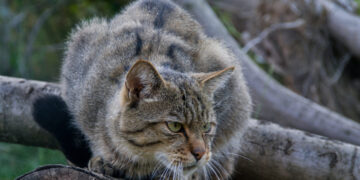 Stiftung Naturlandschaften Brandenburg