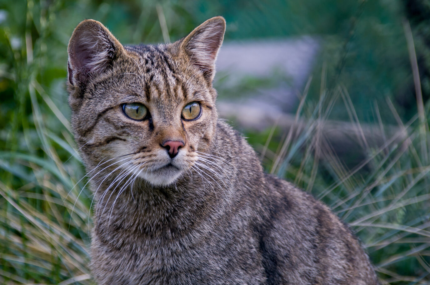 Stiftung Naturlandschaften Brandenburg