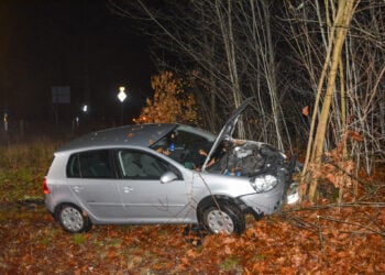Auto gegen Baum geprallt: Fahrerin bei Unfall nahe Wolfshain verletzt