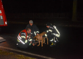 Bild: Blaulichtreport Lausitz