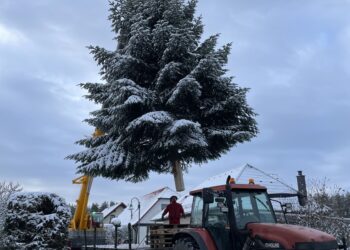 Sophia Koch/Stadtverwaltung Spremberg