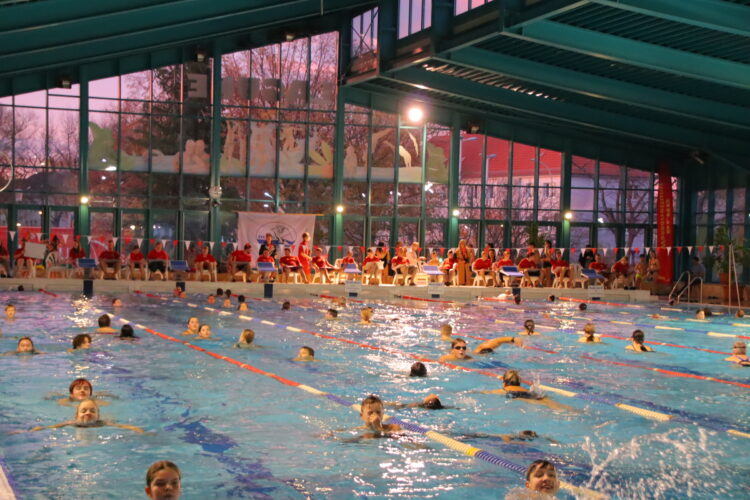 Bild: DLRG Cottbus