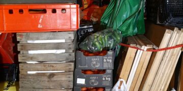 Versteckt waren die Zigaretten unter Obst und Gemüse (Quelle: Hauptzollamt Frankfurt (Oder))
