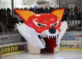 „scharfesGELB“ ist neuer Sponsor der Lausitzer Füchse