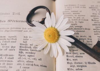 Deutsche Sprache, schwere Sprache?