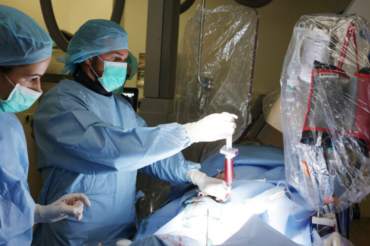 Chefkardiologe Prof. Dr. Guido Matschuck bei einem lebensrettenden Eingriff im Herzkatheterlabor in den Sana Kliniken Niederlausitz. (Bild: Sana Kliniken)