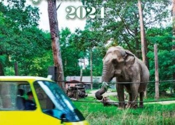 Ab Freitag erhältlich: Cottbuser Heimatkalender 2024 wird präsentiert