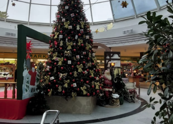 Kleitz Wirth media GmbH