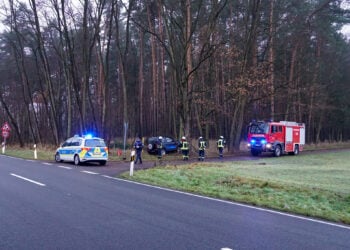 71-Jähriger mit Auto gegen Baum geprallt. Unfall bei Klein Kölzig