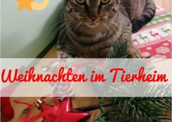 Tierschutzligadorf Neuhausen/Spree