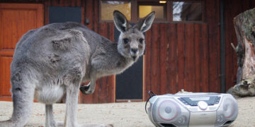 www.zoo-goerlitz.de, I. Plath