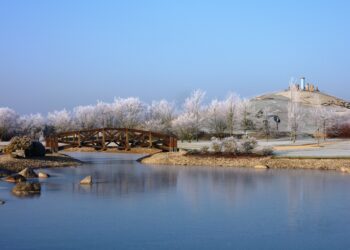 Findlingspark Nochten blickt auf erfolgreiches Jubiläumsjahr zurück