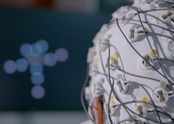 30 Mio. Euro: Cottbuser Startup erhält größte Forschungsförderung in EU