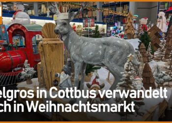 Selgros Cottbus lädt zu Weihnachtsshopping und Adventskalender