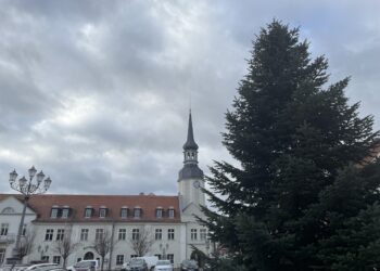 Weihnachtsbäume werden abtransportiert: Sperrungen in Spremberg