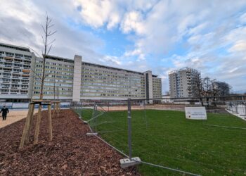 Cottbus sucht Mitglieder für Kommunalen Stadtentwicklungsbeirat