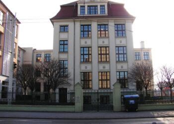 Für wen geht es zum Landesentscheid? Cottbus sucht Vorlesetalent 2024