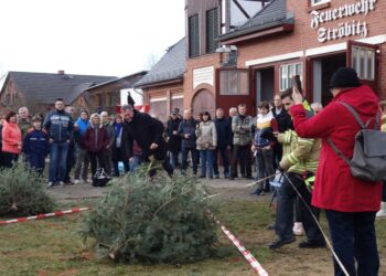 Tradition in Ströbitz: Weihnachtsbäume fliegen für den guten Zweck