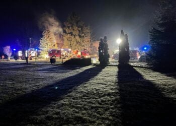 Bild: Blaulichtreport Lausitz