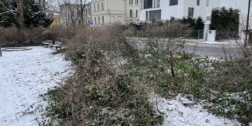 Bild: Stadt Cottbus