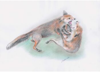 Neue Austellung von Werbener Künstler lädt in die Burger Amtsverwaltung