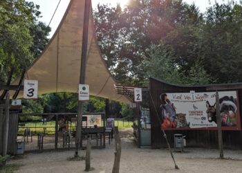 Cottbuser Tierpark wieder geöffnet