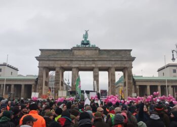 Bauernproteste in Südbrandenburg gipfeln in Großdemo in Berlin