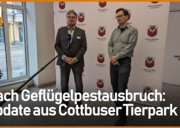 Geflügelpest im Tierpark Cottbus: So ist die aktuelle Lage