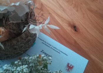 Zeugnisvergabe wegen bundesweitem ÖPNV-Streik auch Donnerstag möglich