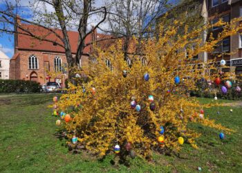 „Frühlingserwachen in der Cottbuser Innenstadt“ geht in neue Runde