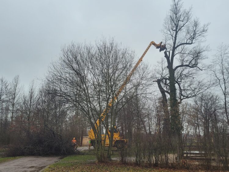 Foto: Stadt Lauchhammer, Matthias Püschl