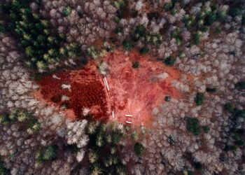 Internationale Ausstellung „Klimagerecht leben“ im Lausitz Park Cottbus