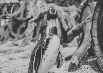 Spreeweltenbad Lübbenau