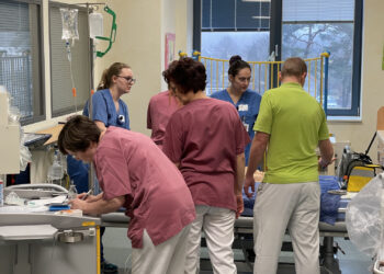 Lausitzer Seenland Klinikum