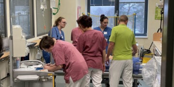 Lausitzer Seenland Klinikum