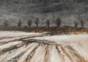 Felder am Elsterdamm von 2004_WBC