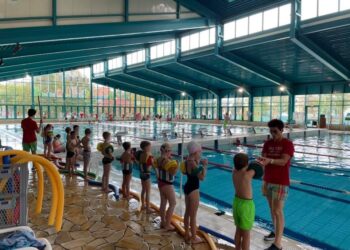 Stadtsportbund Cottbus e.V. 