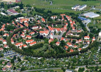 Mehrjährige Baumpflanzaktion in Brieske. 180 neue Krim-Linden für Marga