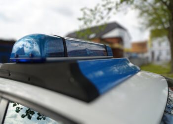 Hund überfahren und geflüchtet? Polizei ermittelt in Senftenberg