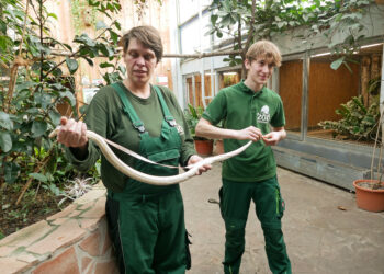 1.251 Individuen in 121 Arten erfasst: Inventur im Zoo Hoyerswerda