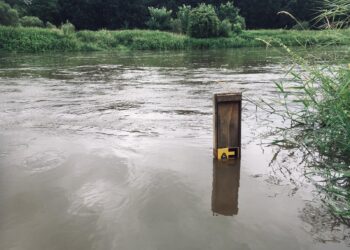 Aktuelle Hochwasserwarnungen: Spree und Schwarze Elster betroffen