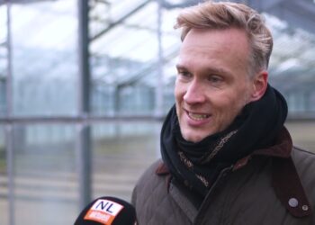 Abriss in Branitzer Siedlung läuft. Cottbuser Baumuniversität entsteht