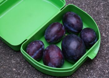 Über den Tellerrand hinaus