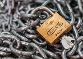 Vorsicht Langfinger: So schützen Sie Ihr Elektromobil vor Diebstahl