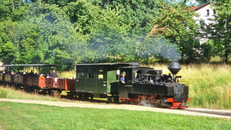 Waldeisenbahn Muskau