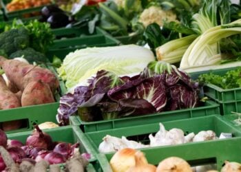 Cottbuser Wochenmarkt kehrt wieder in Sprem zurück