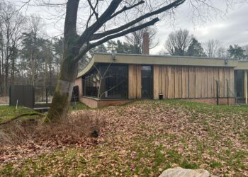 Riesenotter & Co.: Saniertes Raubtierhaus im Tierpark Cottbus eröffnet